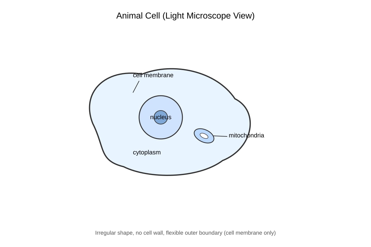 Diagram for Q4 (SEC4 Combined Sci Bio)