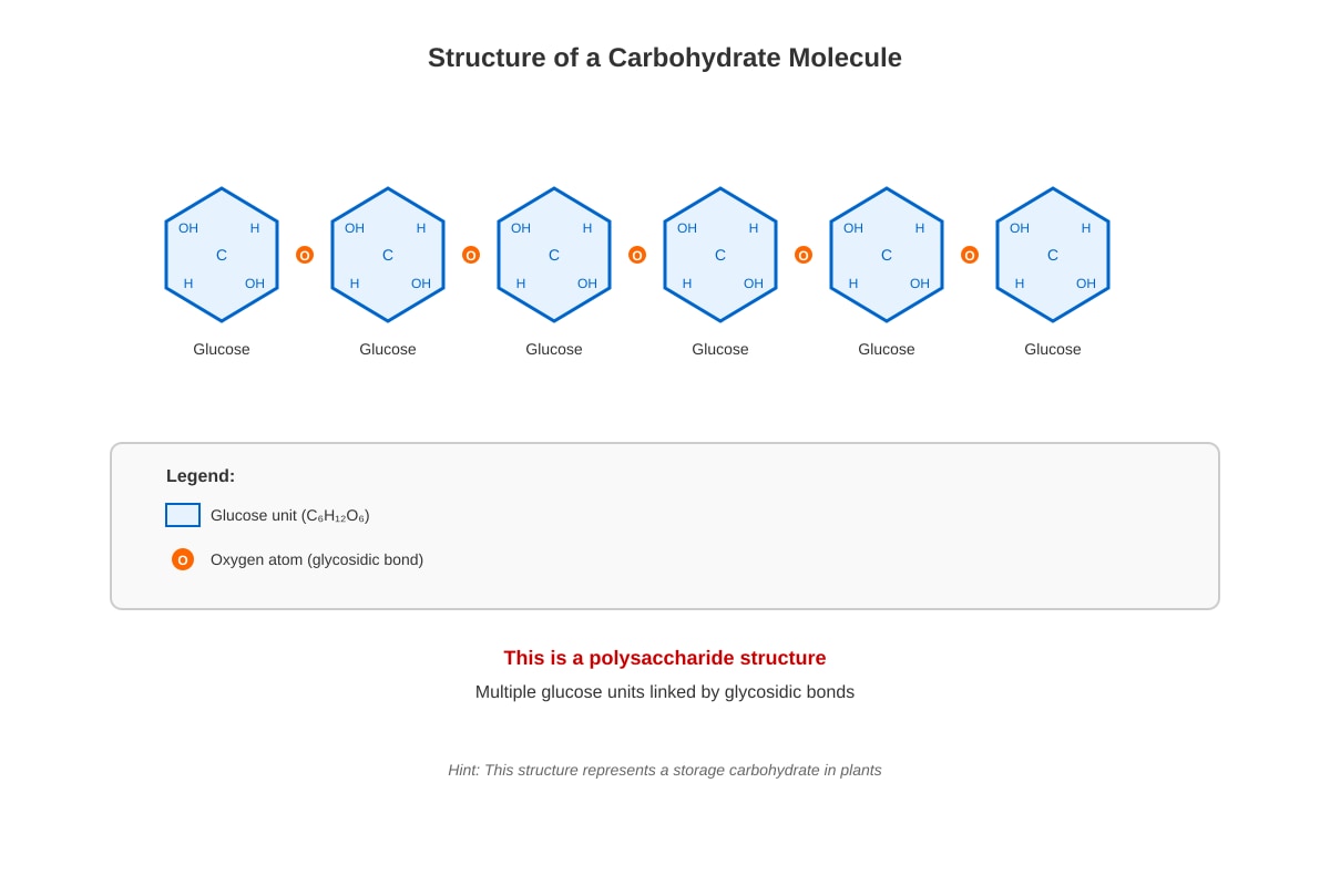 Diagram for placeholder 1 (SEC3 Biology)
