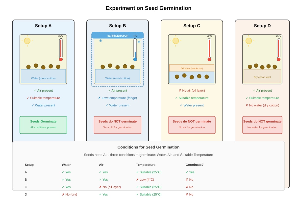 Experimental Setup for Q27 (P5 Science)