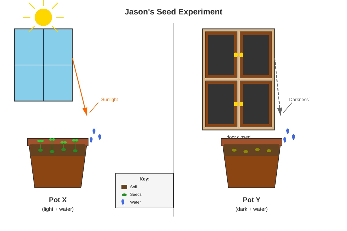 Diagram for Q17 (P3 Science)