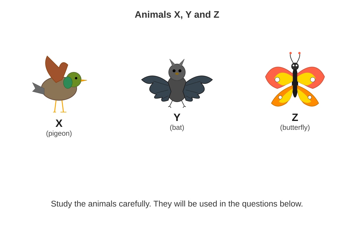 Diagram for Q12 (P4 Science)