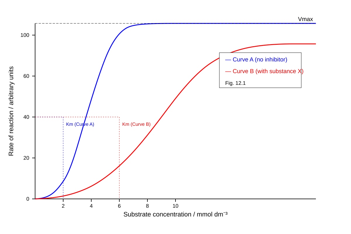 Graph for Q12 (ALEVEL Biology H2)
