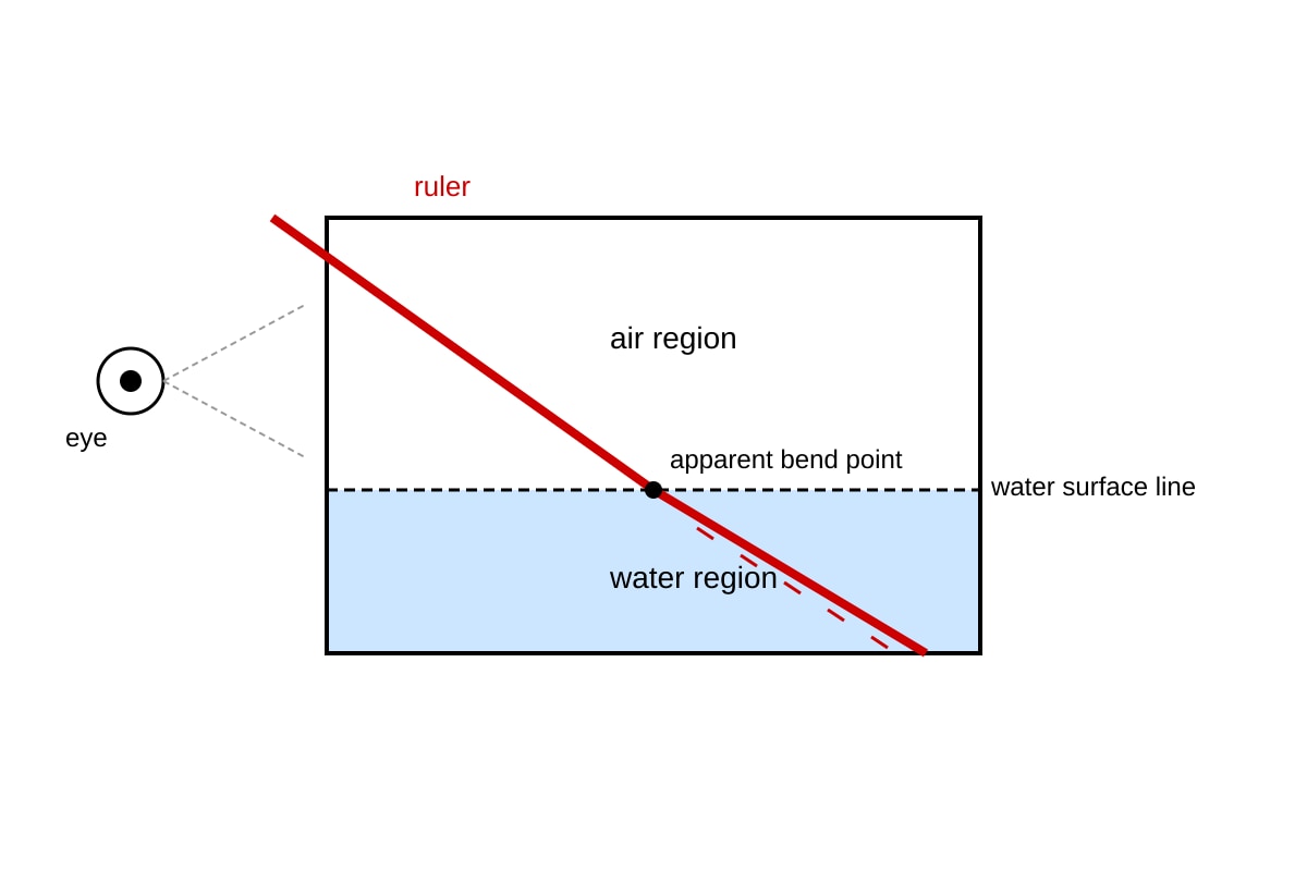Diagram for Q17 (P6 Science)