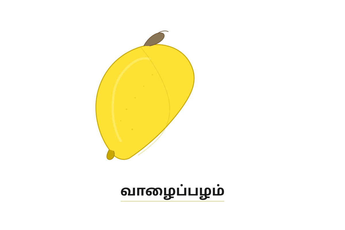 Figure for Q12 (P1 Tamil)