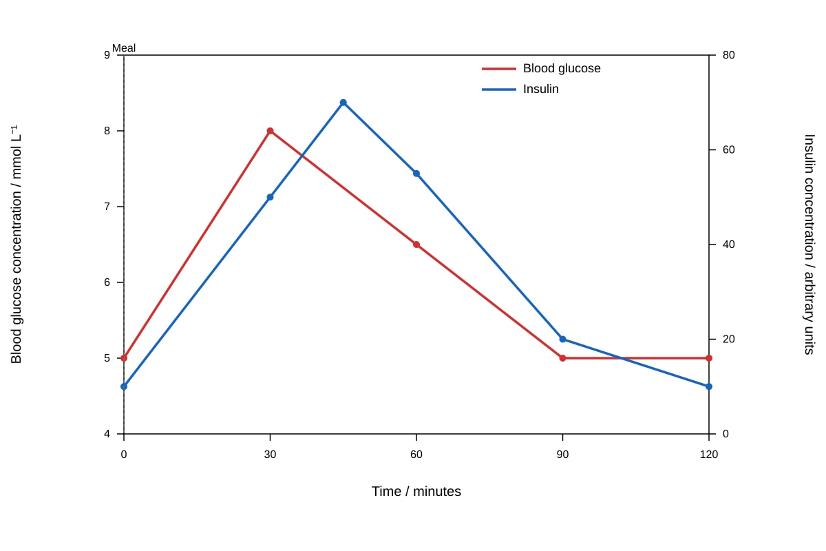 Graph for Q14 (ALEVEL Biology H1)