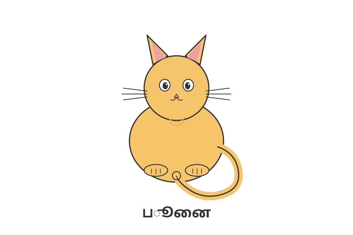 Picture for Q3 (P3 Tamil)