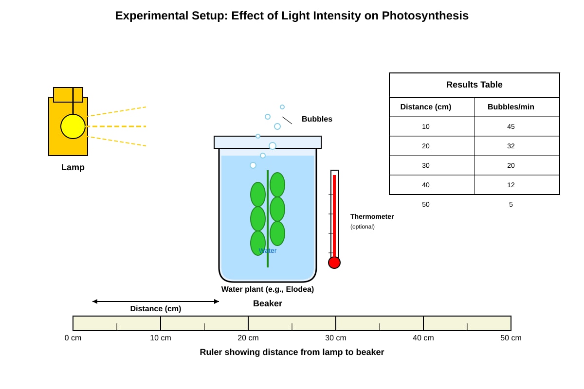 Diagram for Q13 (SEC1 Science)