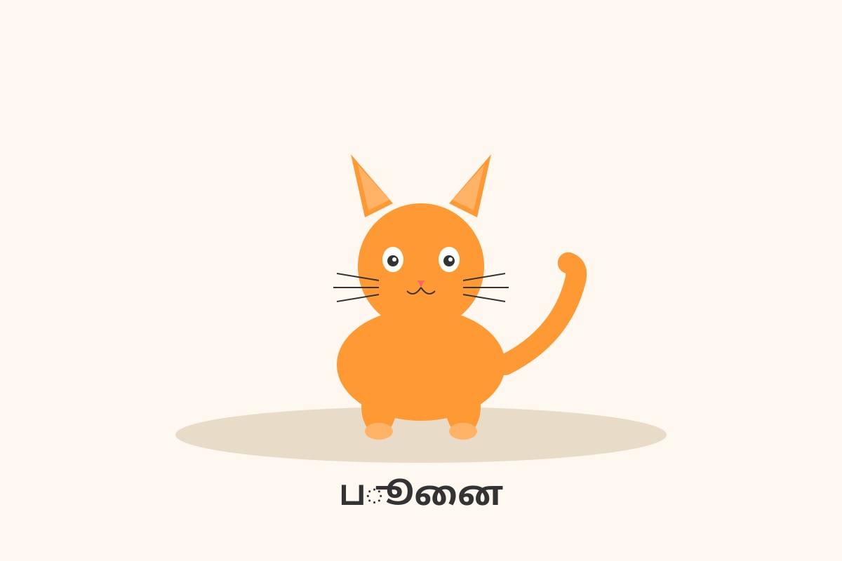 Figure for Q5 (P1 Tamil)
