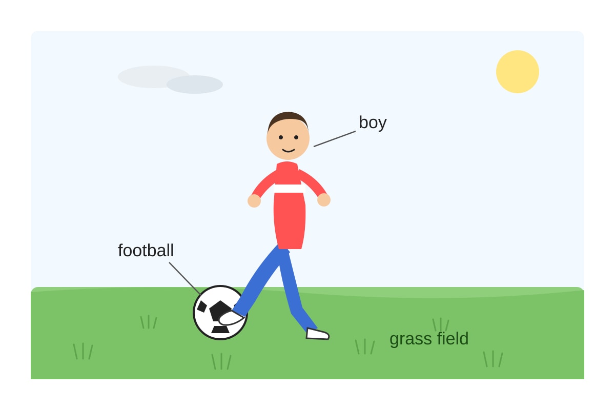 Figure for Q6 (P1 English)