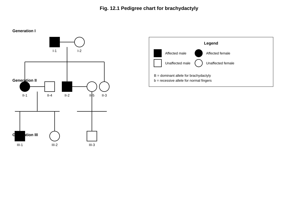 Pedigree Chart for Q12 (ALEVEL Biology H2)