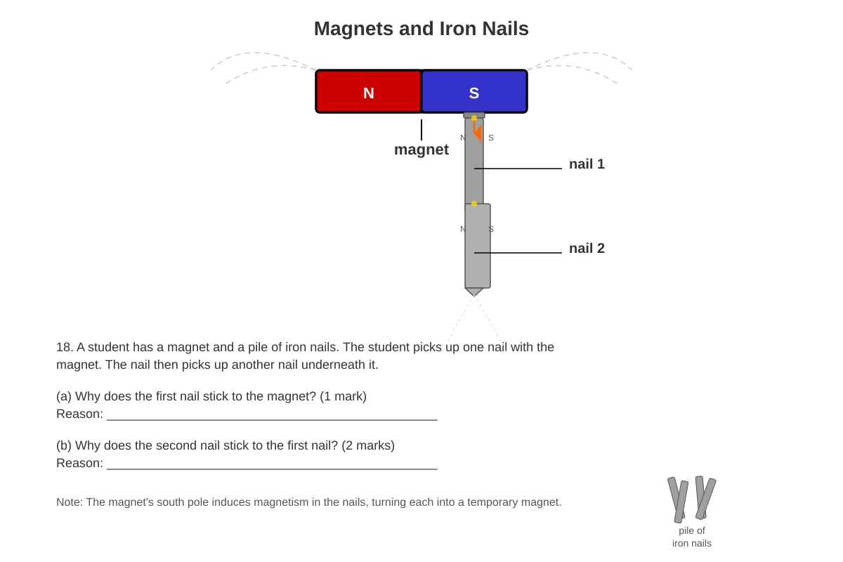 Diagram for Q18 (P4 Science)