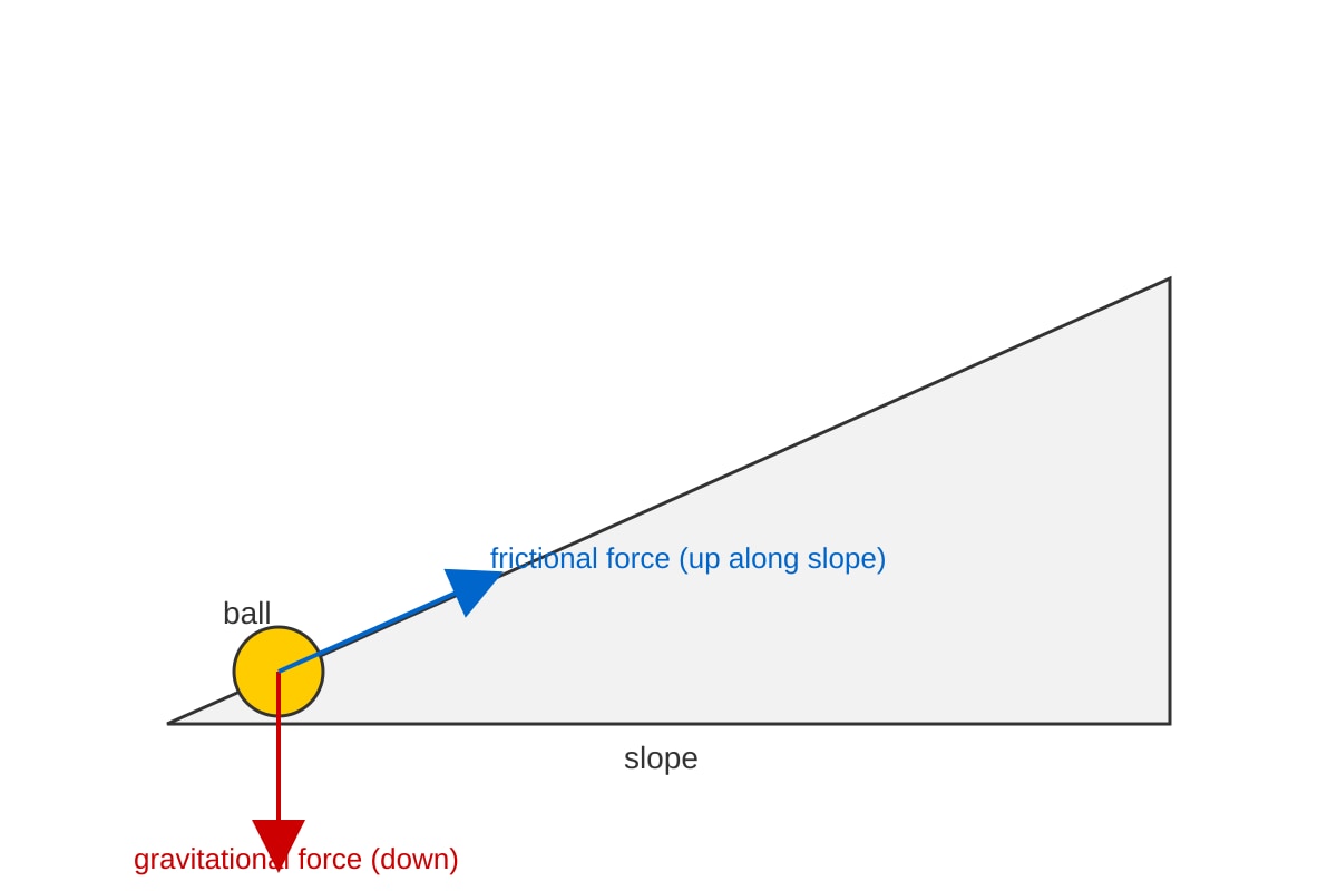 Diagram for Q19 (P6 Science)