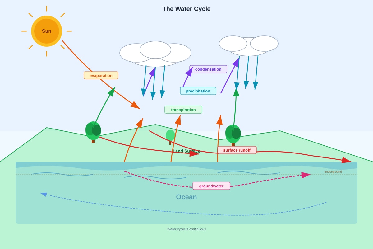 Diagram for Q14 (P5 Science)