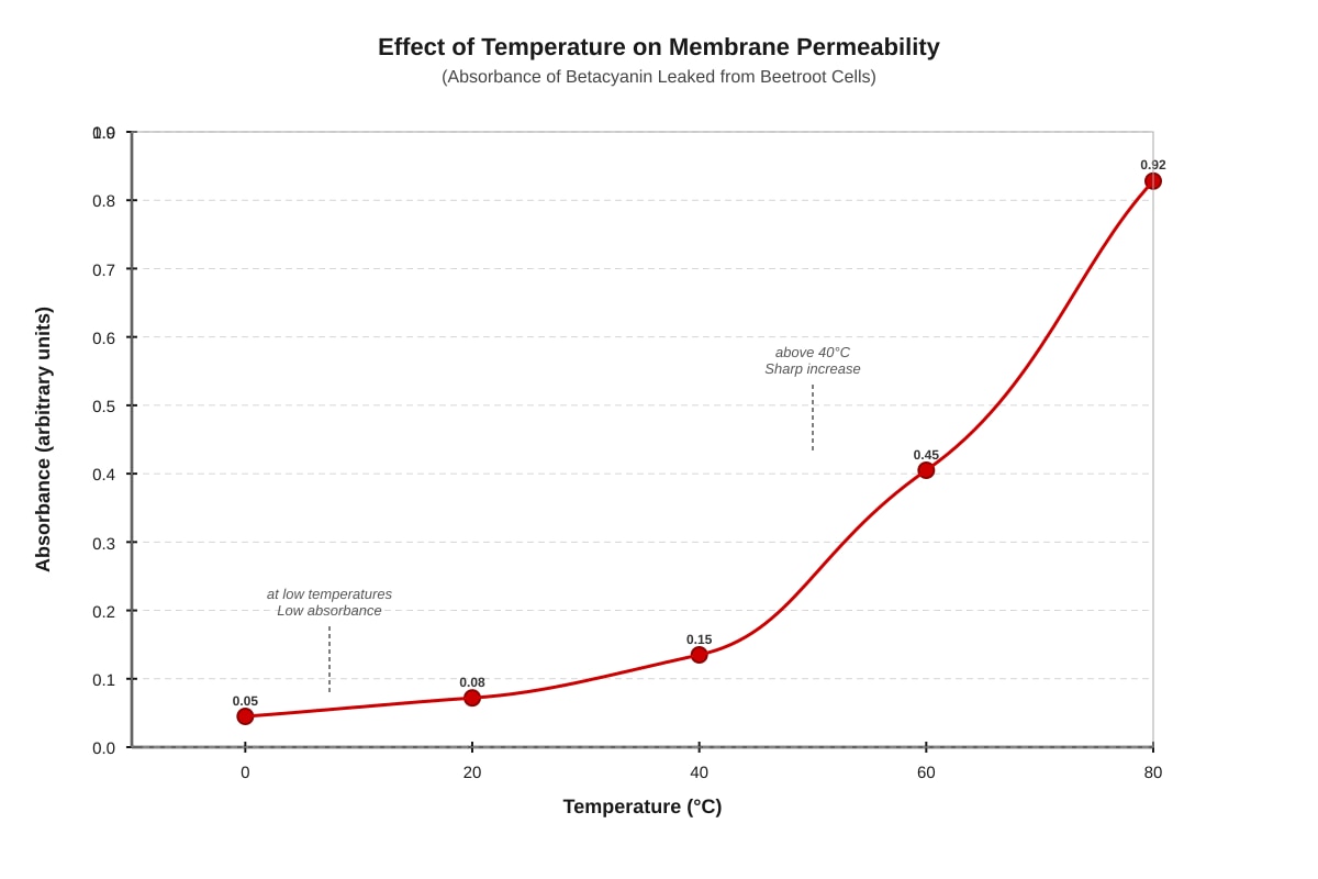 Graph for Q21 (SEC3 Biology)