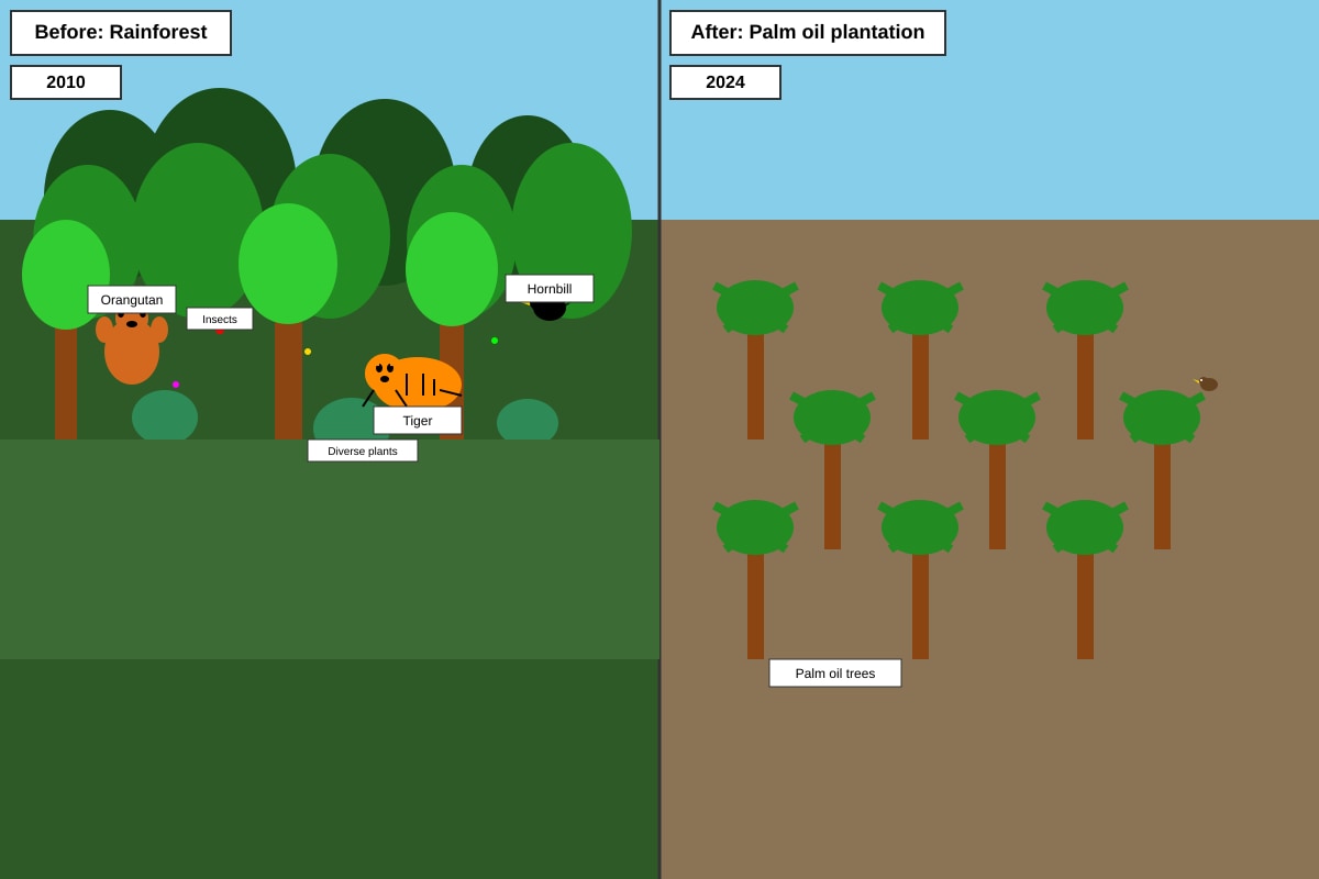 Diagram for Q30 (P4 Science)