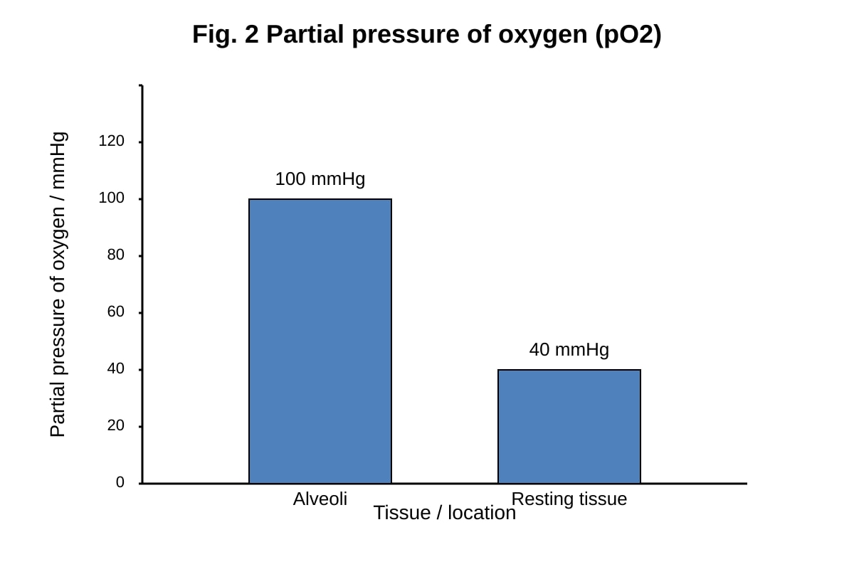 Graph for Q11 (ALEVEL Biology H1)