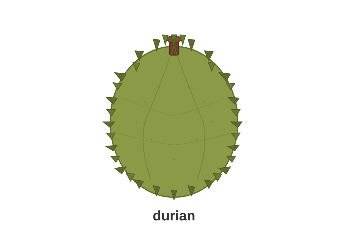 Diagram for Q19 (P2 Malay)