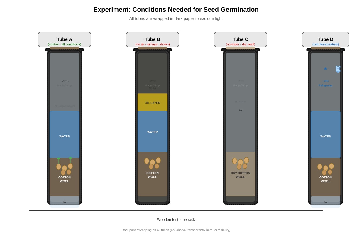 Experimental Setup for Q34 (P6 Science)