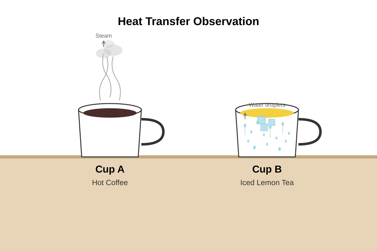 Diagram for Q11 (P3 Science)