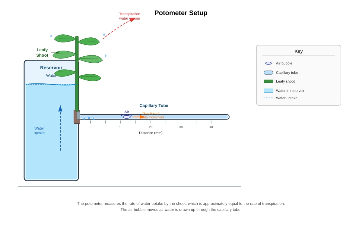 Diagram for placeholder 1 (OLEVEL Biology)