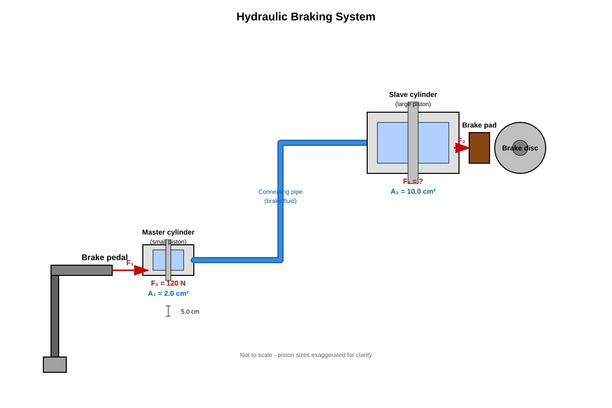 Diagram for Q12 (SEC3 Combined Science)