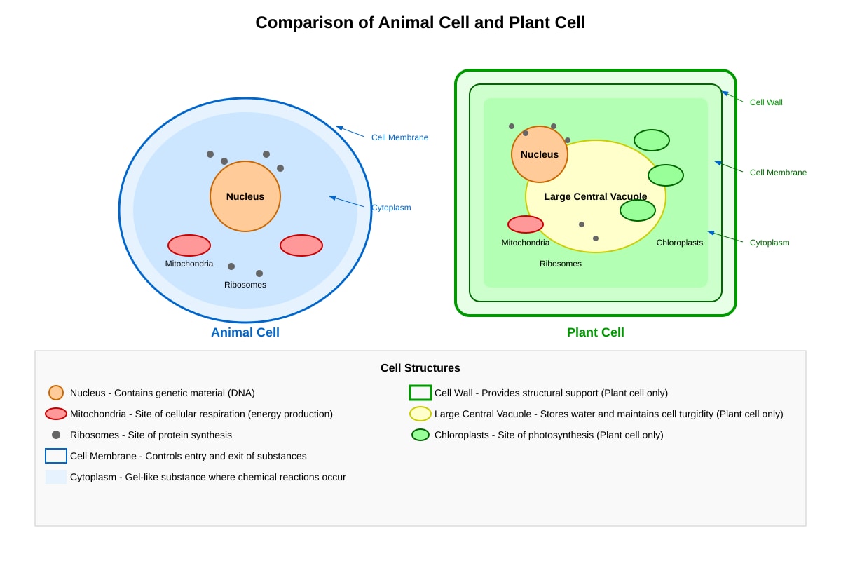 Diagram for placeholder 3 (SEC4 Combined Sci Bio)