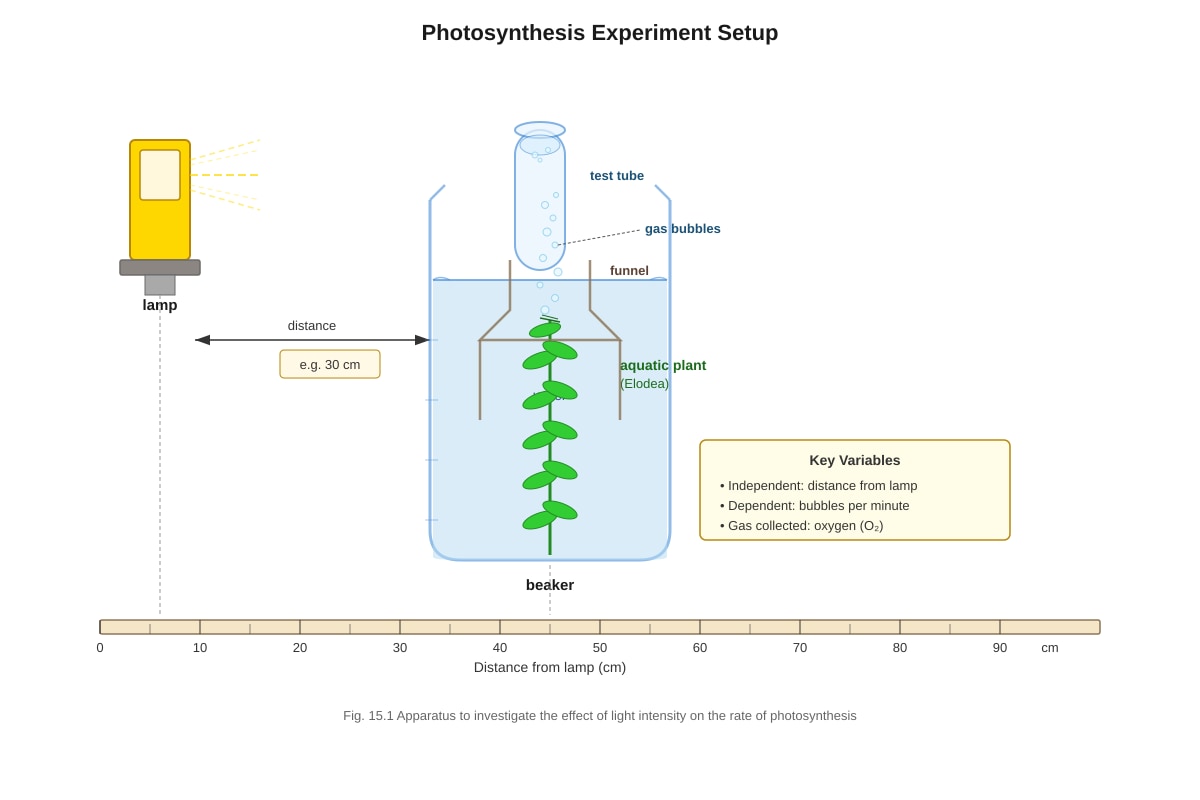 Experimental Setup for Q15 (SEC1 Science)