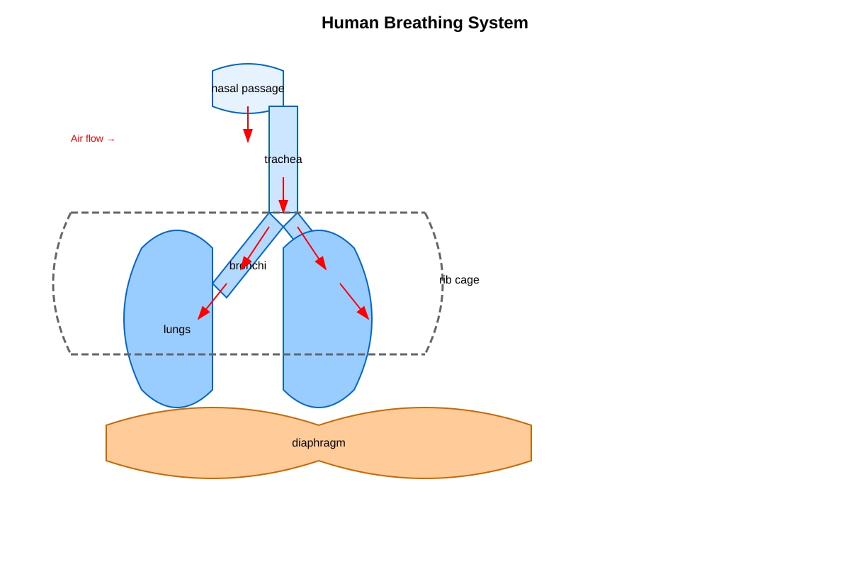 Diagram for Q3 (P6 Science)