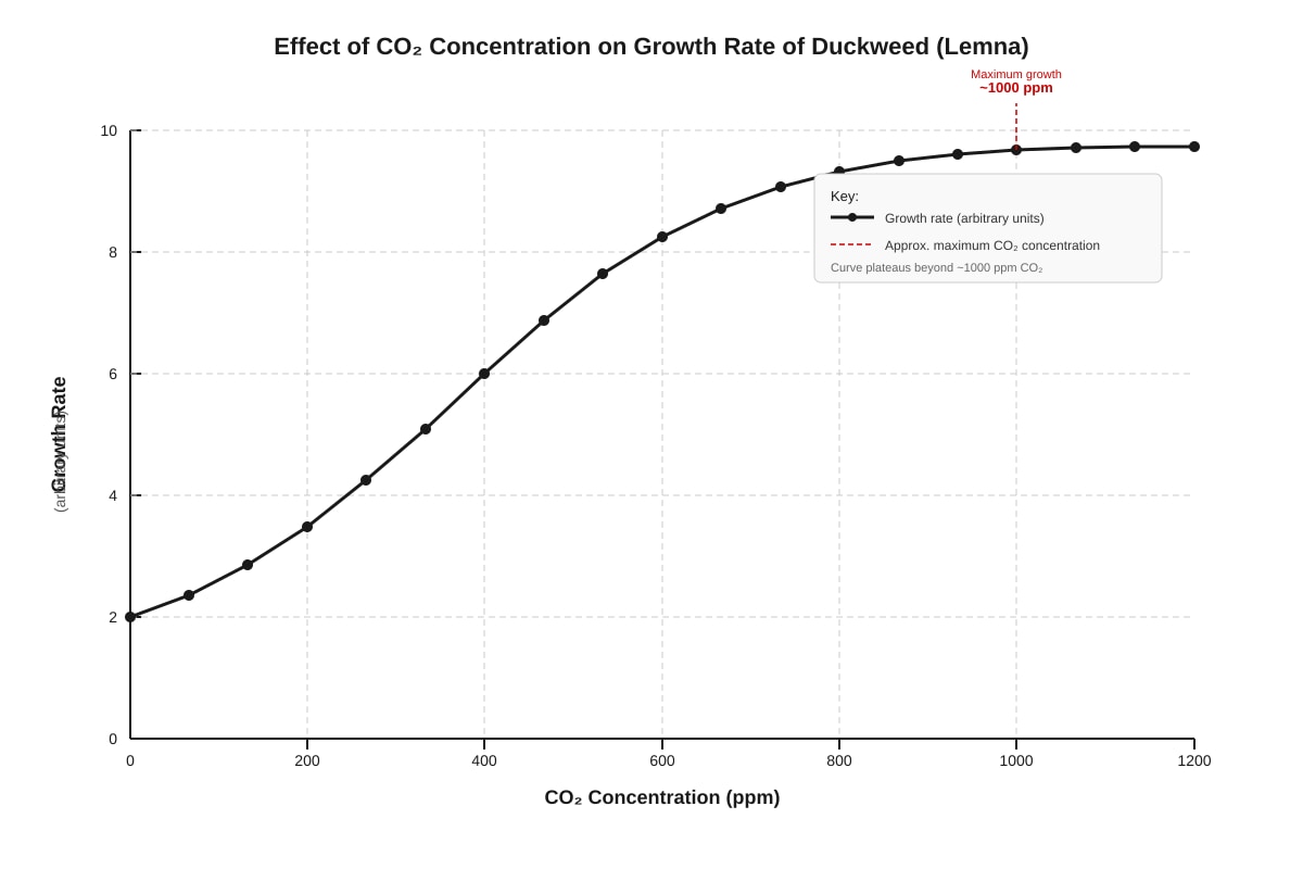 Graph for placeholder 2 (ALEVEL Biology H1)