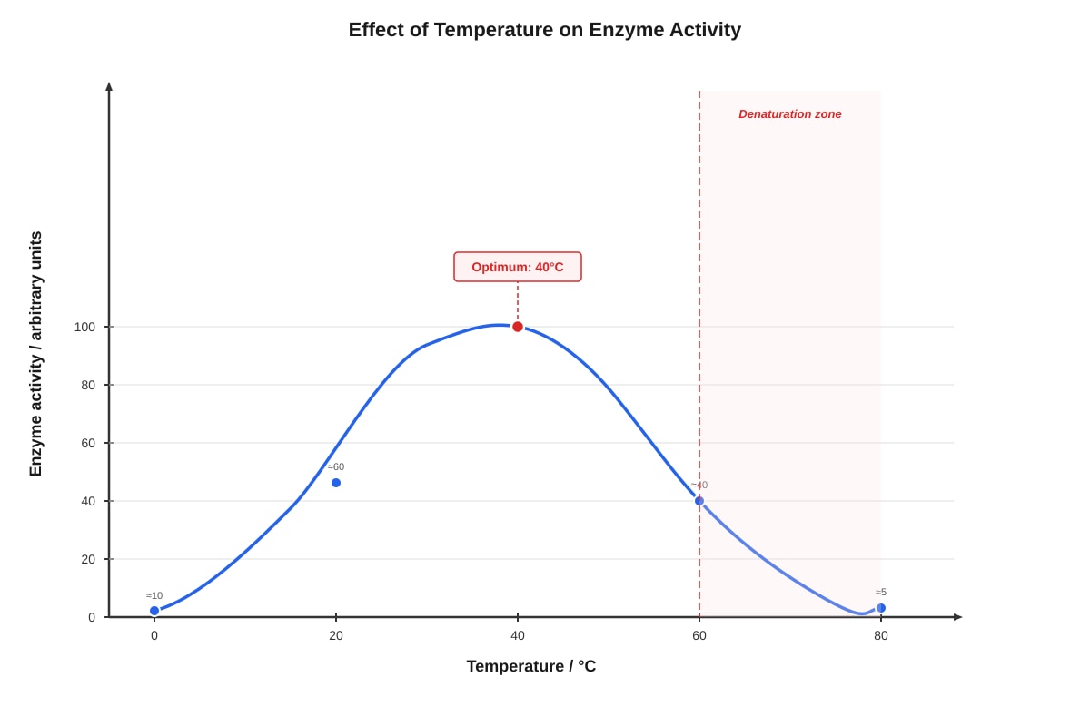 Graph for Q4 (SEC3 Biology)