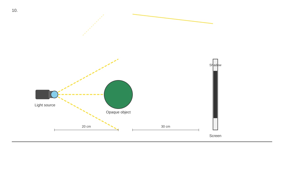 Diagram for Q10 (P6 Science)
