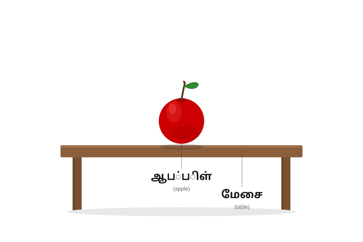 Diagram for Q16 (P2 Tamil)