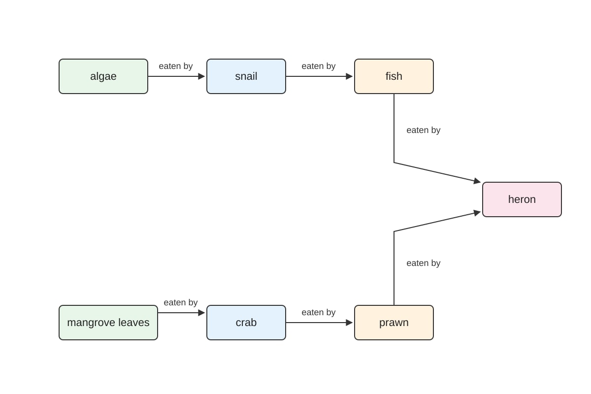 Diagram for Q11 (ALEVEL Biology H2)