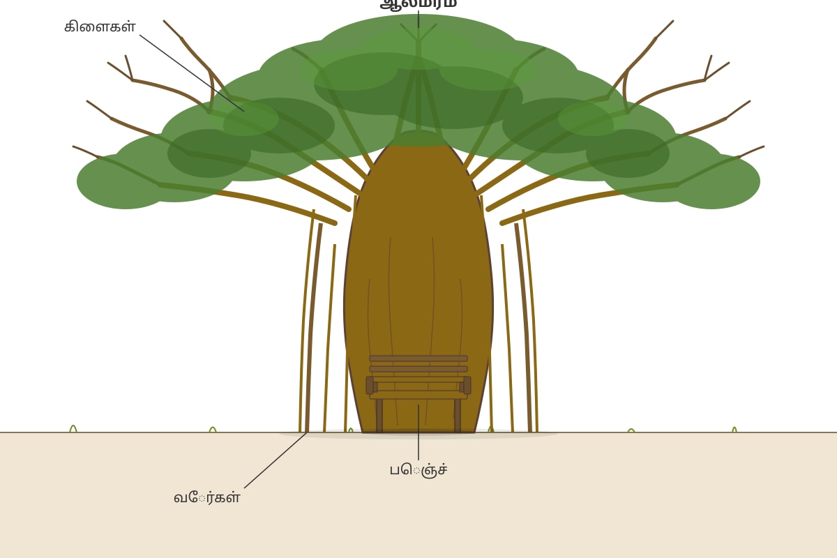 Diagram for Q6 (P5 Tamil)
