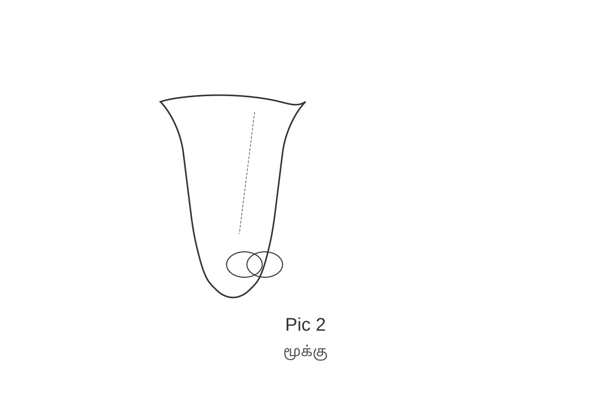Figure for Q13 (P1 Tamil)