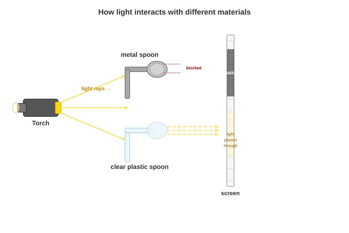 Diagram for Q14 (P3 Science)