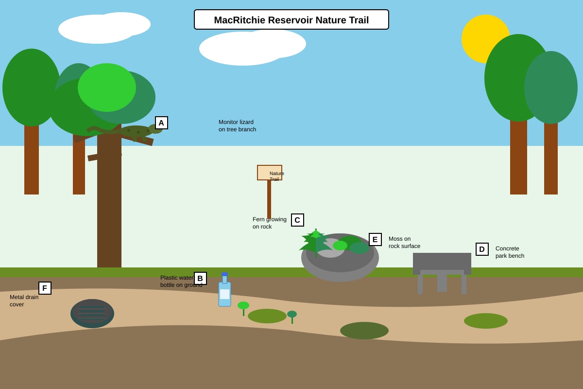 Diagram for Q14 (P3 Science)