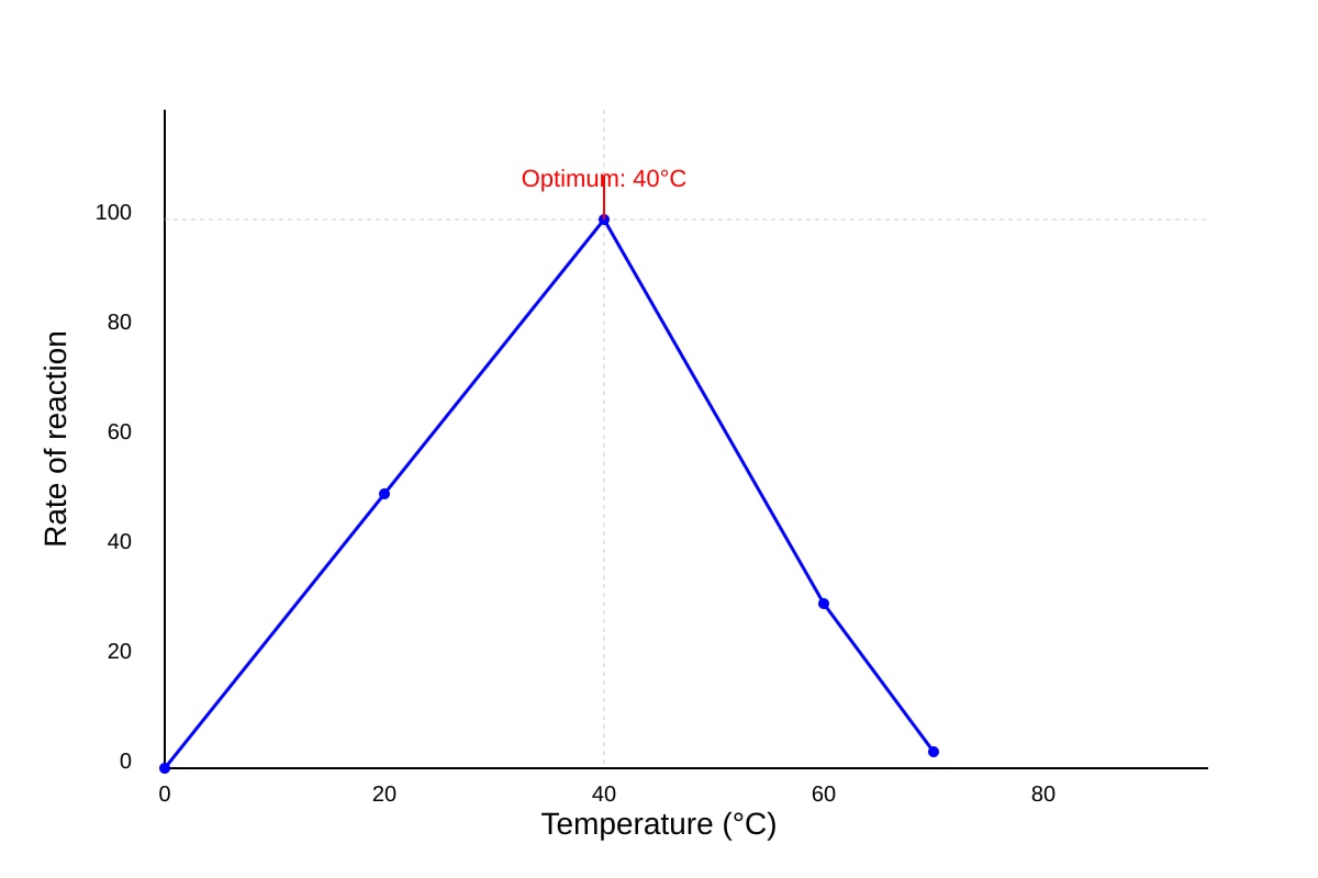 Graph for Q15 (OLEVEL Biology)