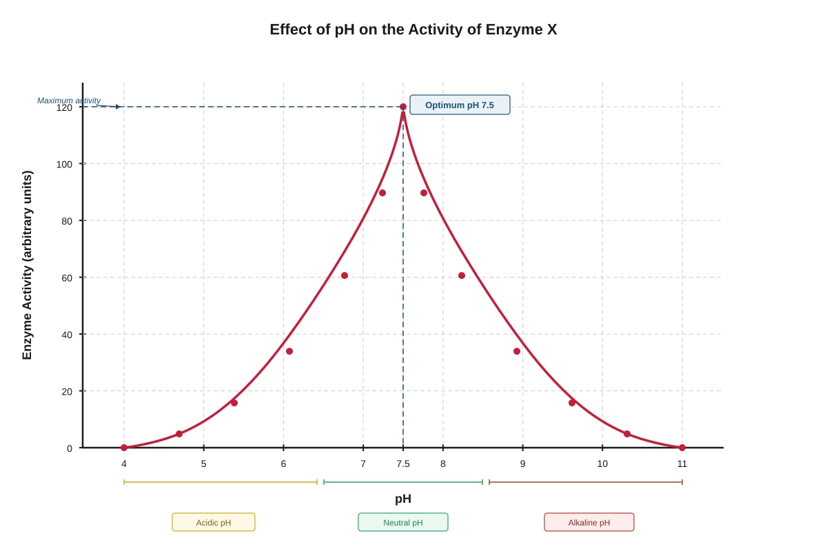 Graph for placeholder 2 (OLEVEL Biology)