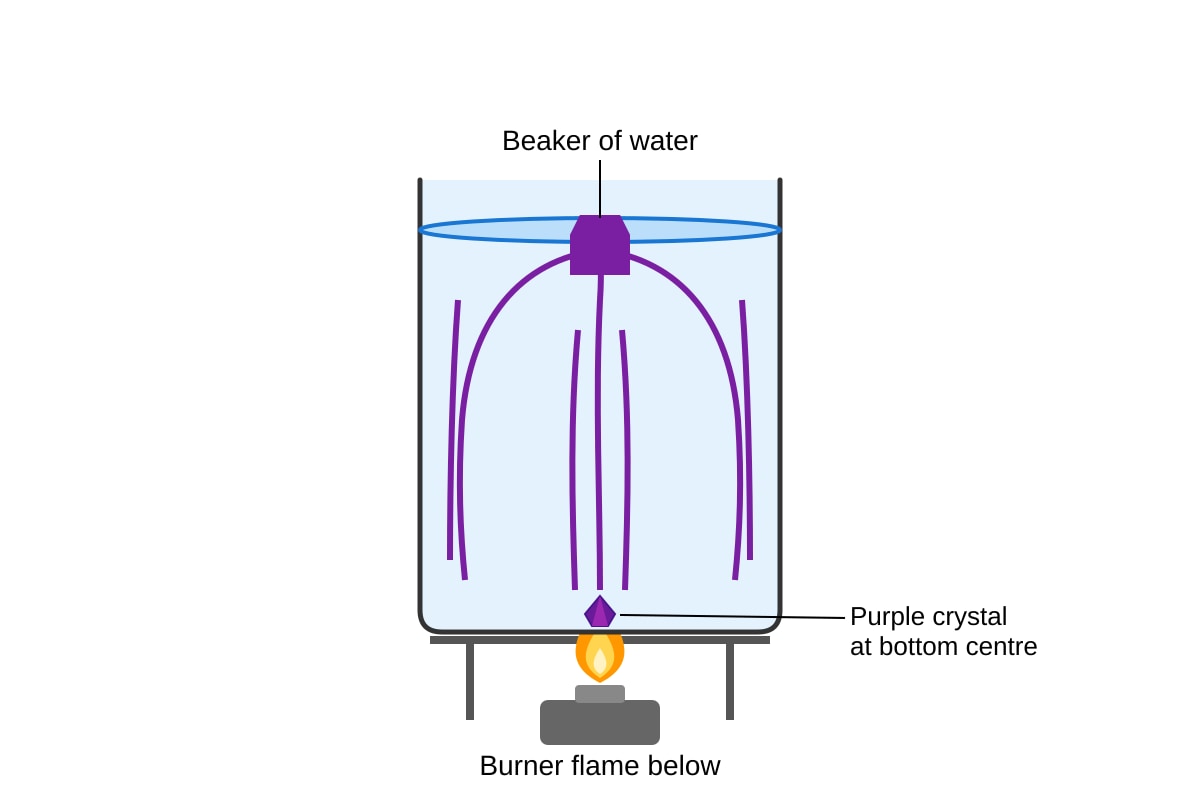 Figure for Q12 (P5 Science)