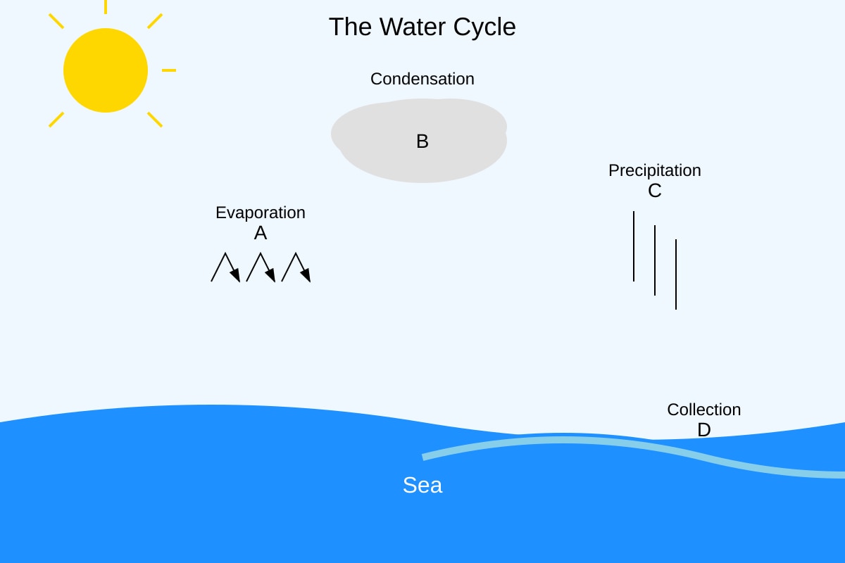 Diagram for Q10 (P4 Science)
