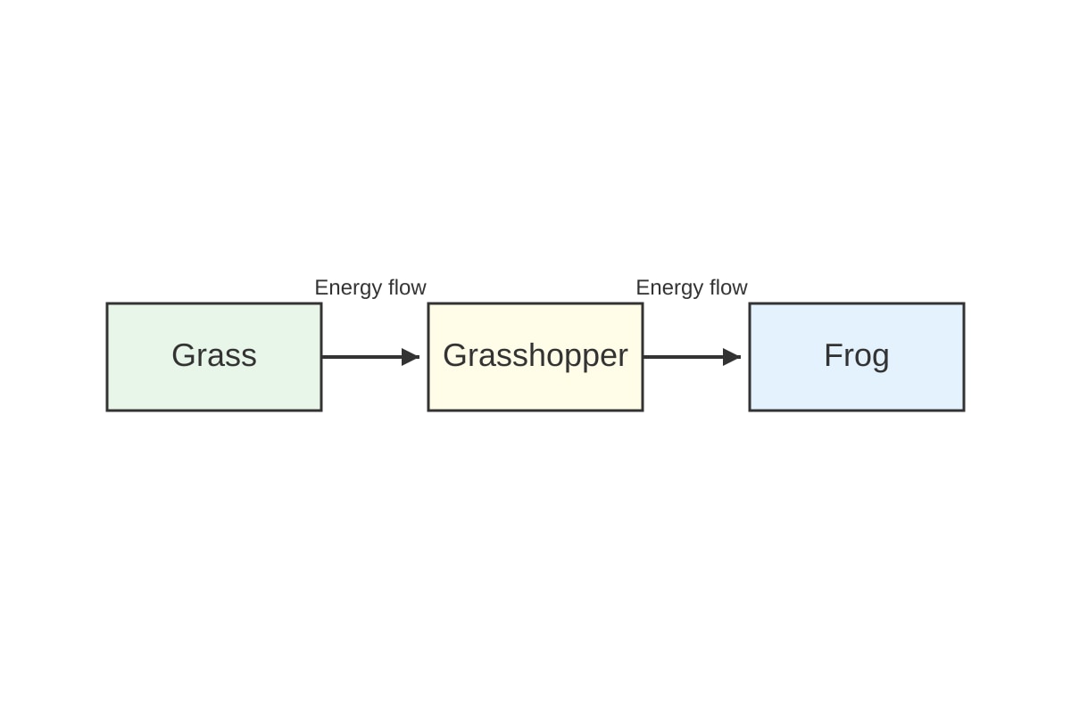 Diagram for Q19 (P6 Science)