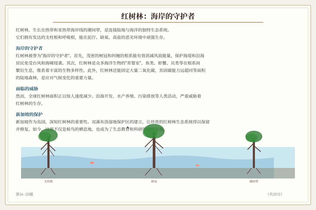 Source Image for Q16 (P6 Chinese)