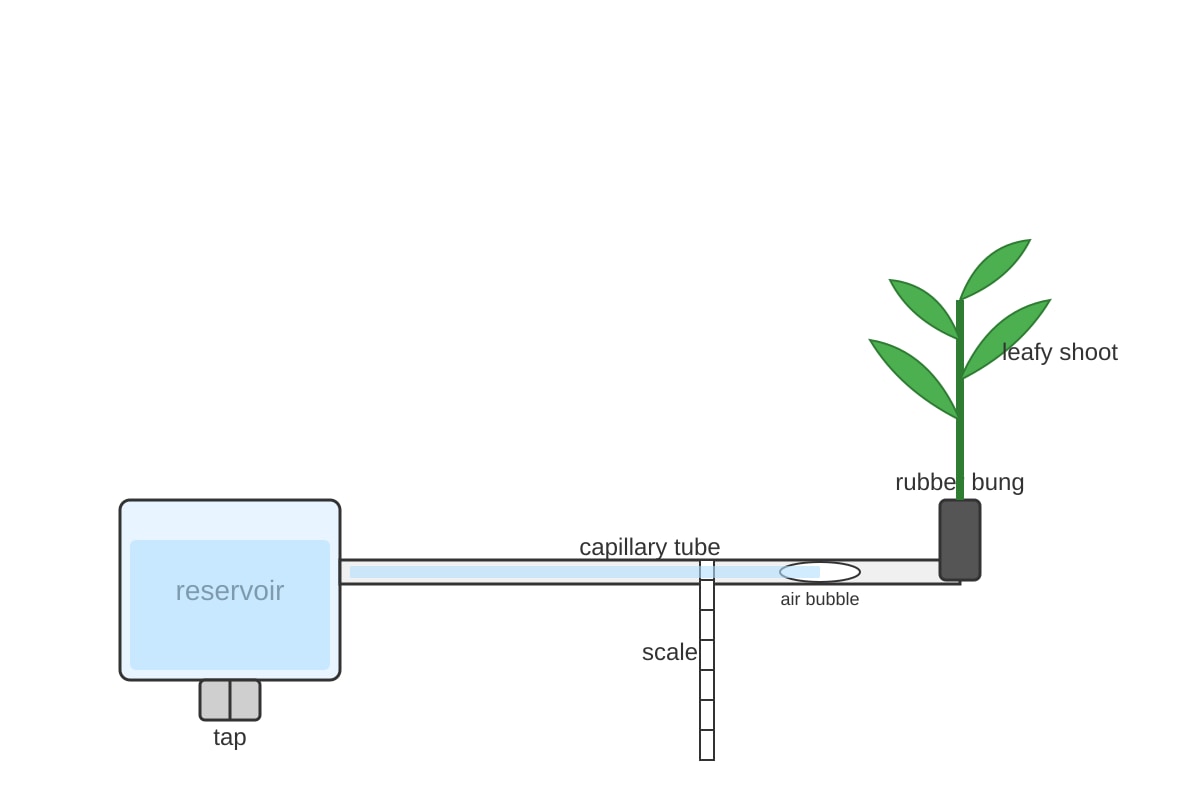 Experimental Setup for Q16 (SEC4 Pure Biology)