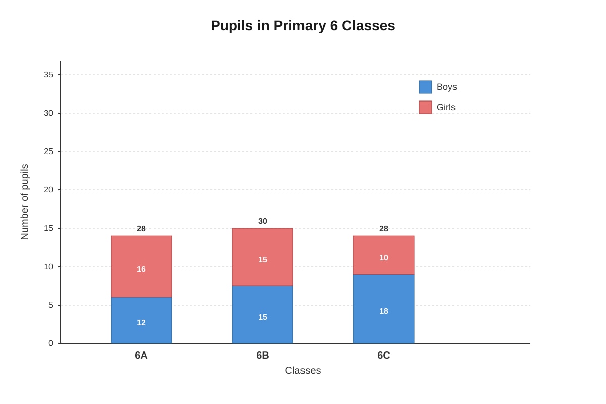 Composite Bar Graph for Q17 (P6 Maths)