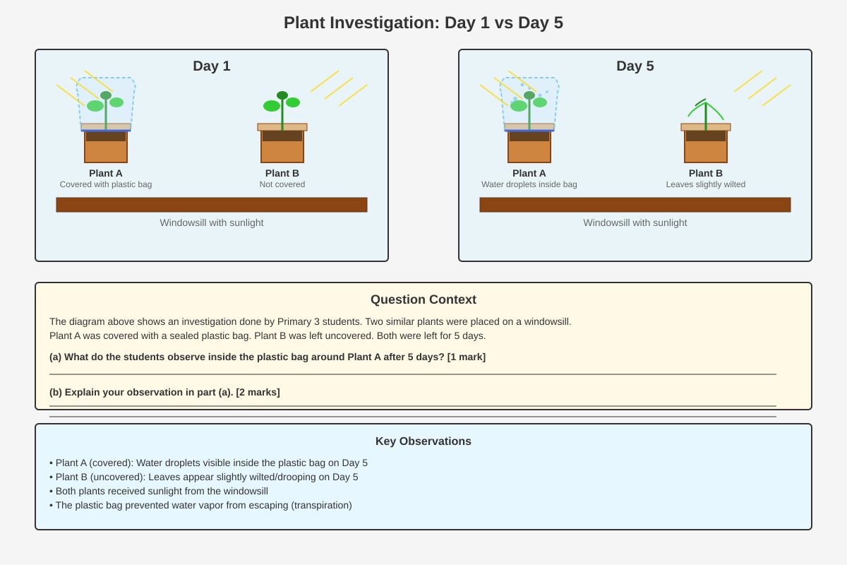 Experimental Setup for Q17 (P3 Science)