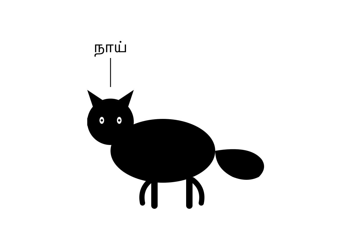 Diagram for Q16 (P1 Tamil)