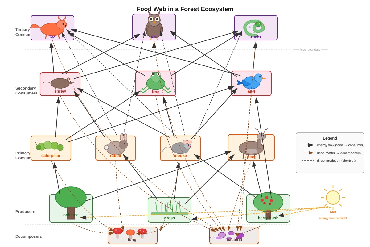 Diagram for Q14 (SEC2 Science)