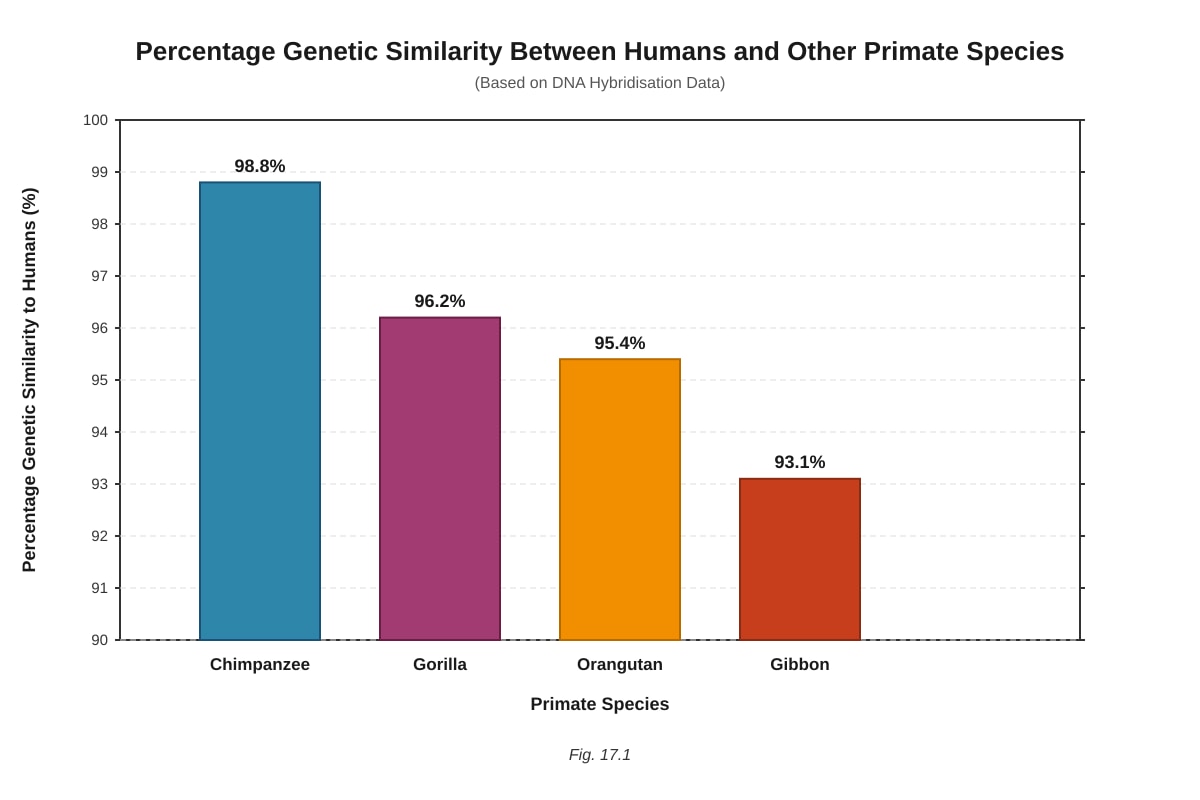 Graph for Q17 (ALEVEL Biology H2)