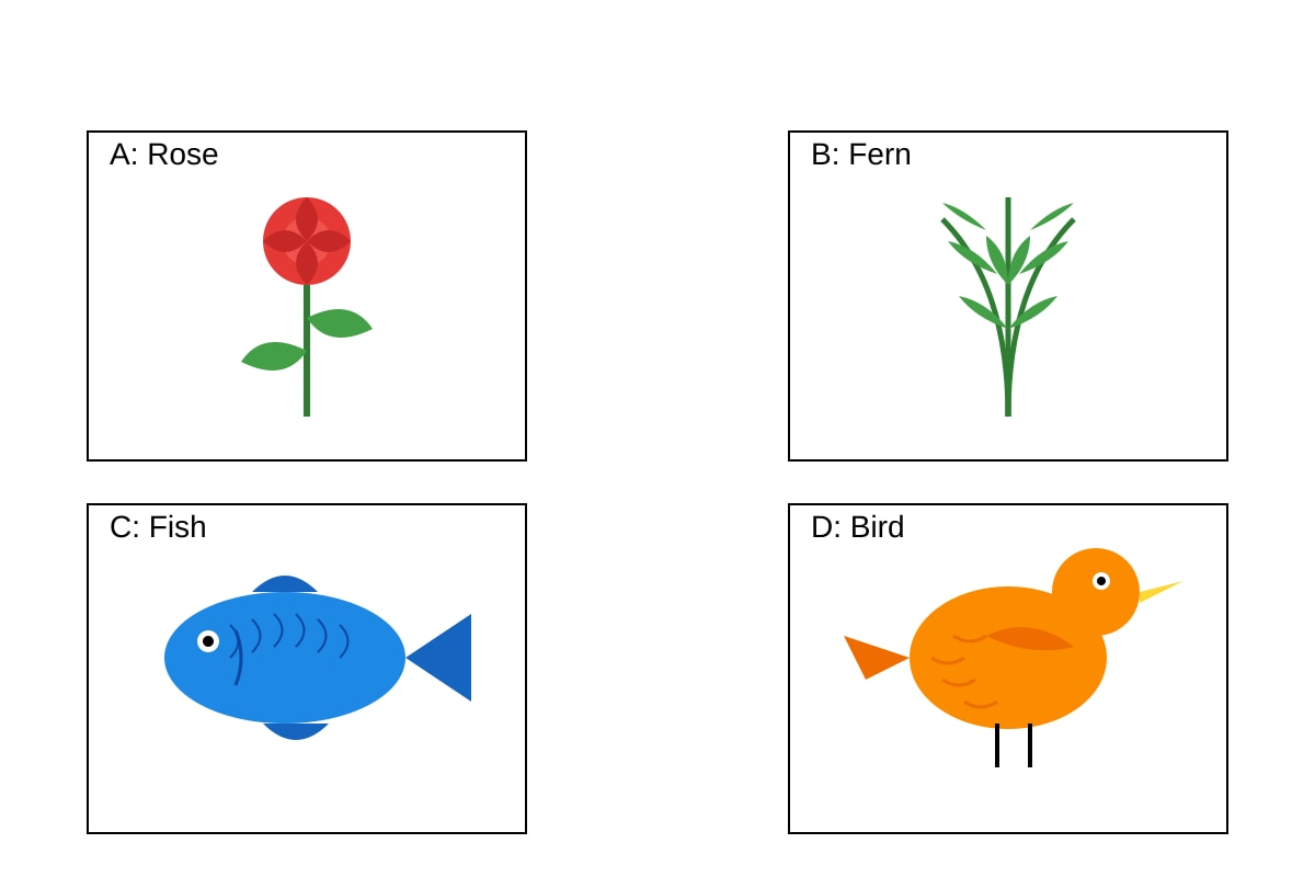 Diagram for Q17 (P5 Science)